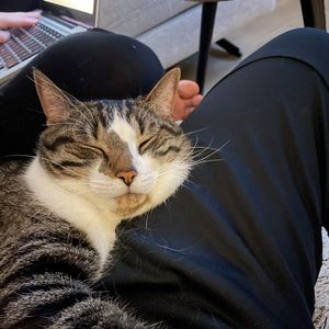 Meet your Posher, Jeremie